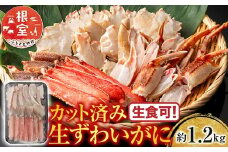 B-11099  生食可！カット済み生ずわいがに約1.2kg(お刺身・焼きガニ・カニ鍋等)