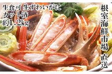 B-28100  根室海鮮市場＜直送＞生食可！カット済み生ずわいがに約1.2kg(お刺身・焼きガニ・カニ鍋等)