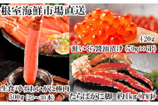 D-11045  海鮮詰め合わせ(たらばがに・ずわいがに・いくら)