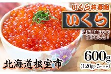 C-45010 【北海道根室産】小分けいくら120g×5P