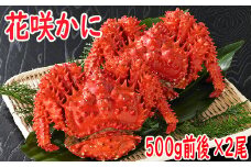 A-19010 【北海道根室産】花咲かに500g前後×2尾