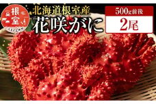 A-19010 【北海道根室産】花咲かに500g前後×2尾