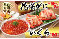 B-45011 【北海道根室産】花咲ガニ(甲羅詰)70g×2P、いくら醤油漬け120g×1P