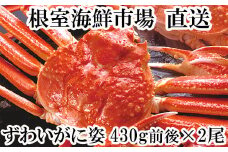 A-11232   ずわいがに姿430g前後×2尾