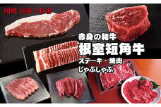 E-13001 【北海道根室産】短角牛ステーキ・焼肉・しゃぶしゃぶ