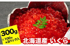 A-24019 秋鮭いくら醤油漬け100g×3P(計300g)