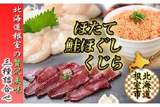 C-45015 【北海道根室産】生くじら約300g、鮭ほぐし80g×2瓶、ほたて500g