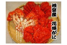 A-54013 【北海道根室産】花咲がに500g前後×3尾(計1.5kg)
