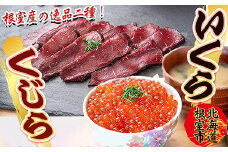 B-45014 【北海道根室産】生くじら約300g、いくら120g
