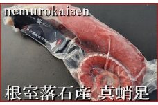 A-57059 【北海道根室産】刺身用真だこ足800g～1.2kg前後×1本