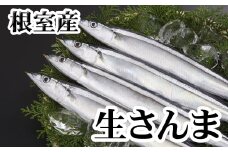 G-30001 【北海道根室産】生さんま5尾×2P