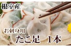 G-30008 【北海道根室産】たこ足500g前後～800g前後×1本