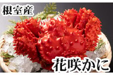 G-30010 【北海道根室産】花咲かに300g前後～450g前後×3尾