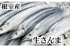G-36001 【北海道根室産】生さんま5尾×2P