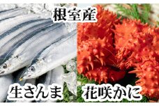 G-36002 【北海道根室産】花咲かに300g前後～450g前後×1尾、生さんま5尾×1P