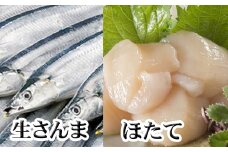 G-36003 生さんま5尾×1P、お刺身用ほたて貝柱200g×1P