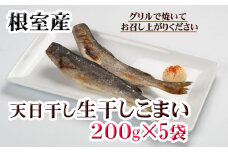 G-36005 【北海道根室産】一夜干し生干し200g×5P