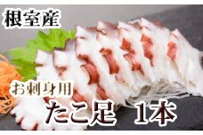 G-36008 【北海道根室産】たこ足500g前後～800g前後×1本