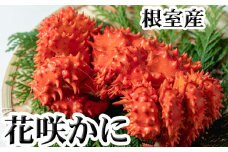 G-36010 【北海道根室産】花咲かに300g前後～450g前後×3尾