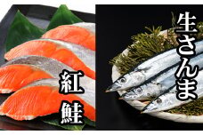 G-76004 冷凍生さんま5尾×1P、甘塩紅鮭5切×1Ｐ