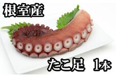 G-76008 【北海道根室産】たこ足500g前後～800g前後×1本