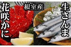 G-70002 【北海道根室産】花咲かに300g前後～450g前後×1尾、生さんま5尾×1P