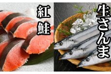 G-70004 生さんま5尾×1P、甘塩紅鮭5切×1P