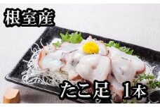G-70008 【北海道根室産】たこ足500g前後～800g前後×1本