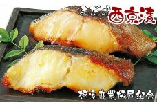 G-18005 【北海道根室産】まだら西京漬切り身各2切×4P