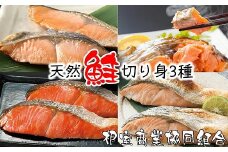 G-18011 天然鮭切り身3種(紅鮭・沖獲れ鮭・秋鮭)