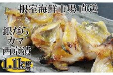 G-28009  根室海鮮市場＜直送＞銀だらカマ西京漬け1.1kg