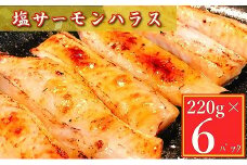 G-09005 塩サーモンハラス220g×6P