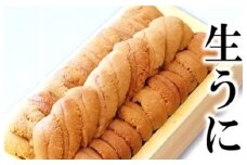 A-71045 エゾバフンウニ(赤系)90～100g×1折[10月下旬以降発送]