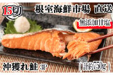 G-14037  無添加甘塩天然沖獲れ鮭5切×3P(計15切、約750g)