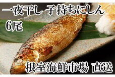 G-11047  一夜干し子持ちにしん6尾