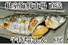 G-14047  一夜干し子持ちにしん6尾