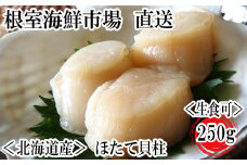 G-28052  根室海鮮市場＜直送＞刺身用ほたて貝柱250g