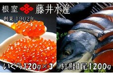 F-42004 ＜鮭匠ふじい＞紅鮭新巻1.2kg、いくら醤油漬け120g×3P
