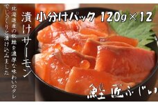 F-42008 ＜鮭匠ふじい＞漬けサーモン丼の具120g×12P(小分け)