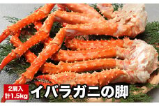 C-58017 イバラガニの脚2肩(計1.5kg前後)
