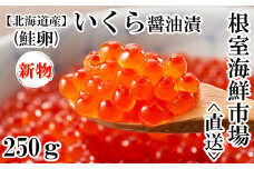 A-11238  いくら醤油漬け(秋鮭卵)(新物)250g×1P