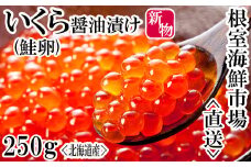 A-14253  いくら醤油漬け(秋鮭卵)(新物)250g×1P