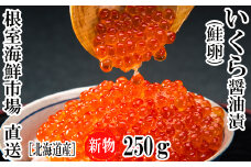A-28240  根室海鮮市場＜直送＞いくら醤油漬け(秋鮭卵)(新物)250g×1P