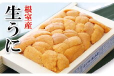 F-71013 【北海道根室産】エゾバフンウニ100g×1折