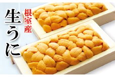 E-71041 【北海道根室産】エゾバフンウニ100g×2折