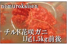 D-57037【北海道根室産】花咲ガニ1.5kg前後(チルド便)
