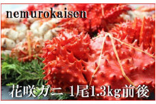 D-57038【北海道根室産】花咲ガニ1.3kg前後
