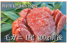 D-57040【北海道根室産】毛がに800g前後