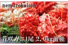 E-57003【北海道根室産】花咲ガニ2kg前後