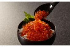 D-89006【北海道根室産】いくら醤油漬け1kg